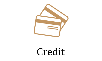 Credit Card Icon By Enchanted Medical Aesthetics